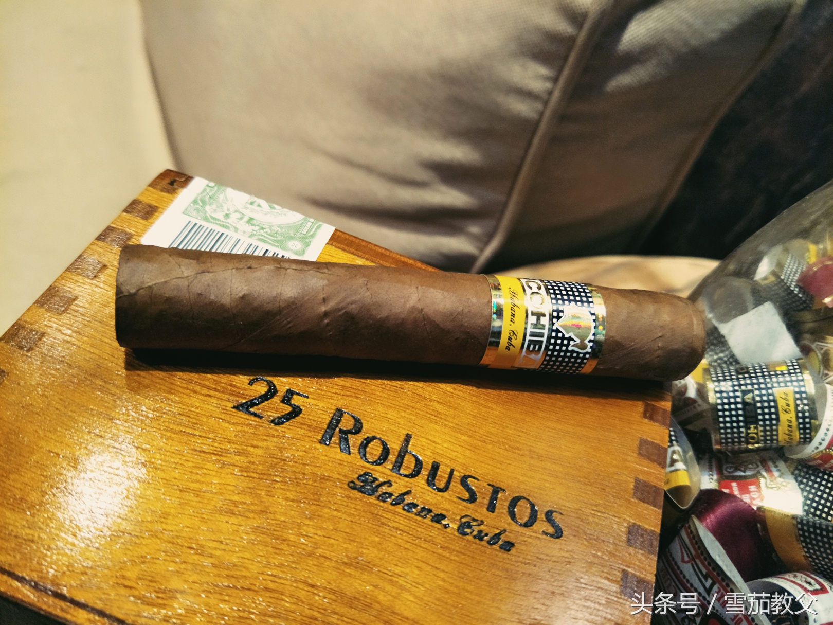 新手雪茄客避坑指南,雪茄入门级口粮选择