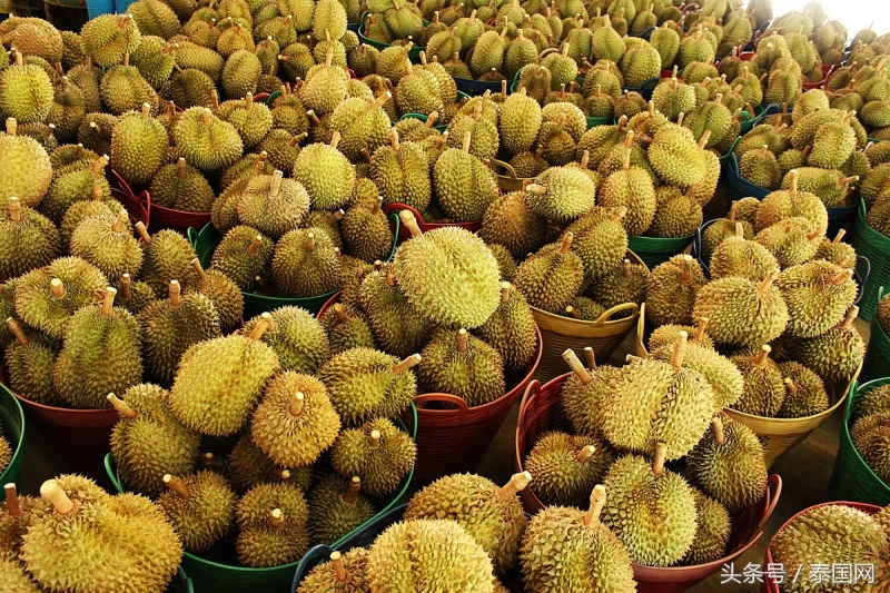 泰国发现榴莲危机,泰国榴莲危机事件