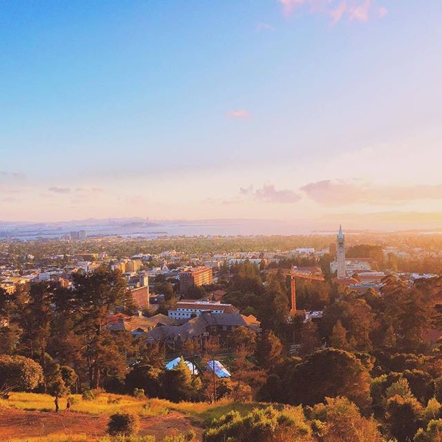 久闻大名，美国排名第一的公立大学——加州伯克利分校