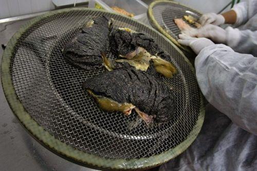 带你探寻顶级鱼子酱的加工流程,顶级鱼子酱加工过程