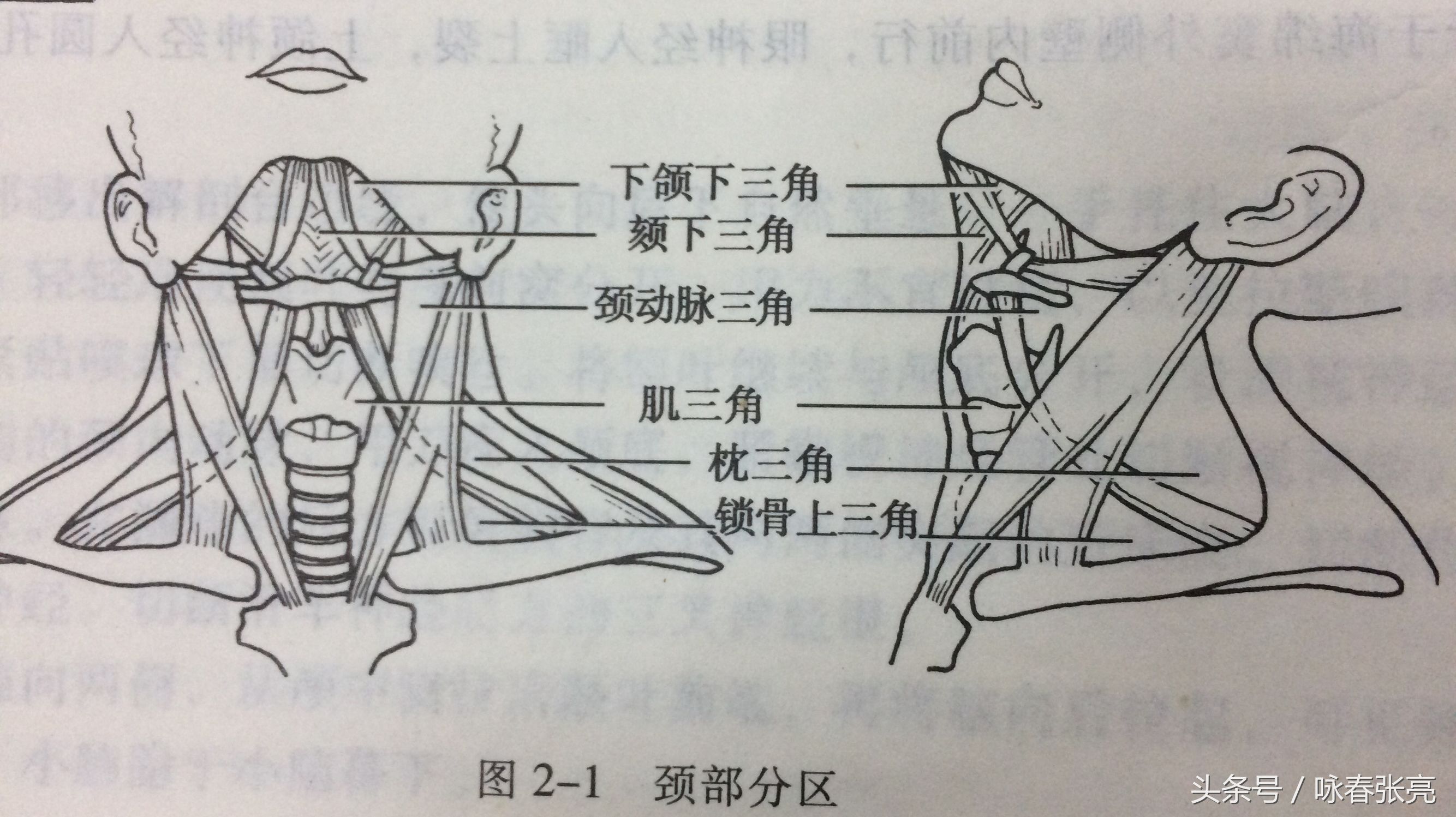 谁说咏春打不过泰拳,谁说传统武术不行你戳我眼睛试试