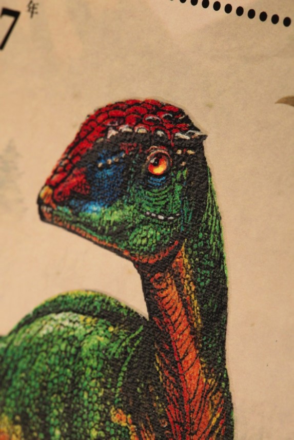 你还知道哪些恐龙及它们的特点,为大家介绍一下恐龙的外形等特点