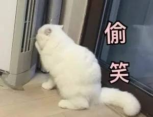 九千岁女神新标准！快看看你是不是“幼幼脸”？