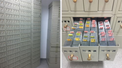 你有考虑过将来捐献器官救人吗,陈天桥为什么执着脑科学研究