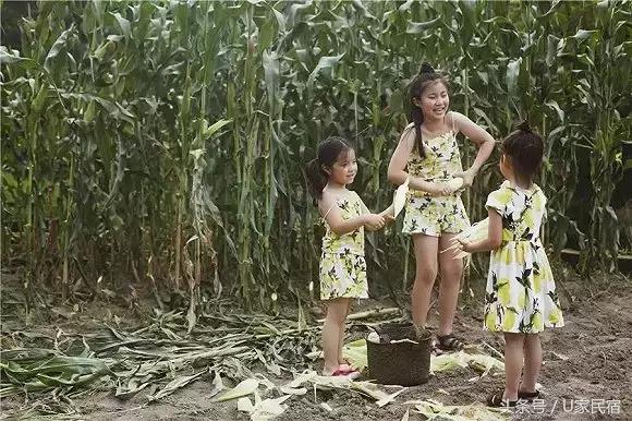 给我一方厨房，还你一桌菜肴