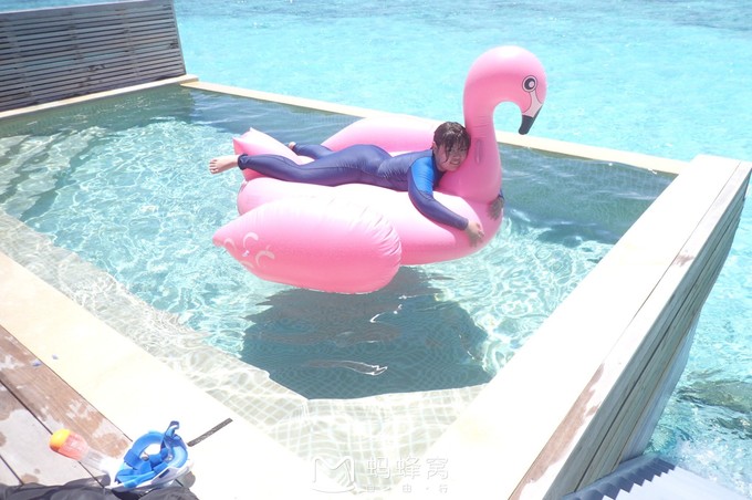 蜜月胜地之马尔代夫,马尔代夫水下餐厅芙拉瓦丽