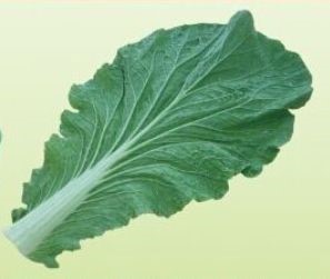 脸越洗越白的小技巧,如何让脸越来越白小技巧