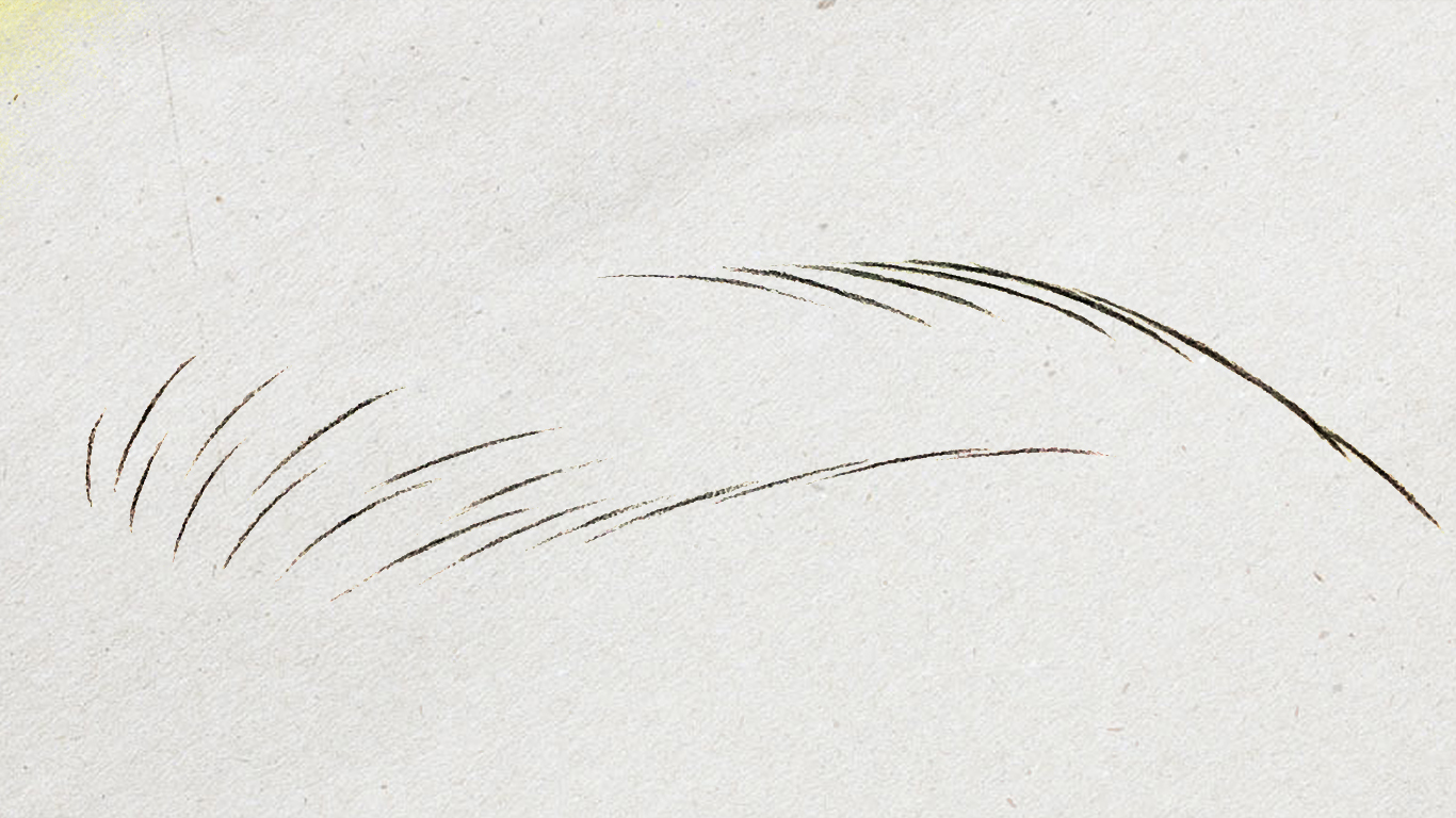 纹绣手工线条眉针片,纹绣线条眉画法初学者