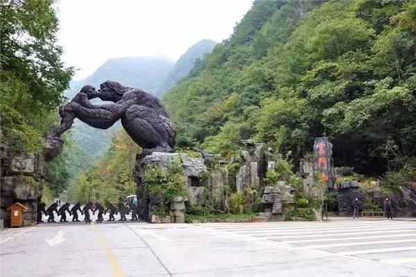 世界那么大,偏独爱神农架