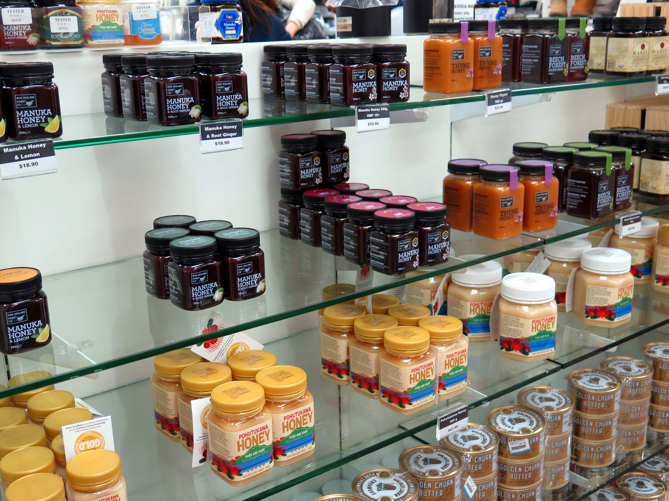 绵羊国,绵羊新西兰代购