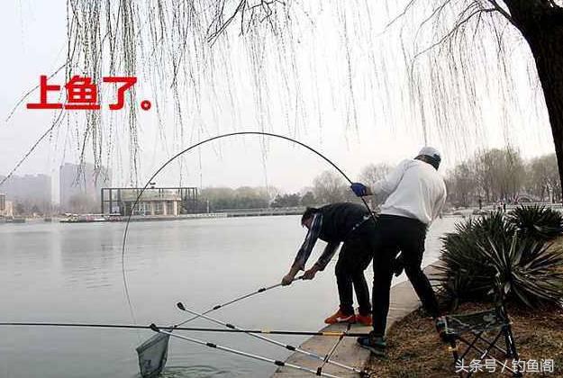 100元的竿和1000元的竿的区别,1000元鱼竿和100元鱼竿差别