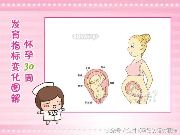 孕妈防辐射服,防辐射孕妇服孕妈推荐