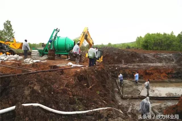 走进森林空气格外清新,走进天然氧吧呼吸新鲜空气