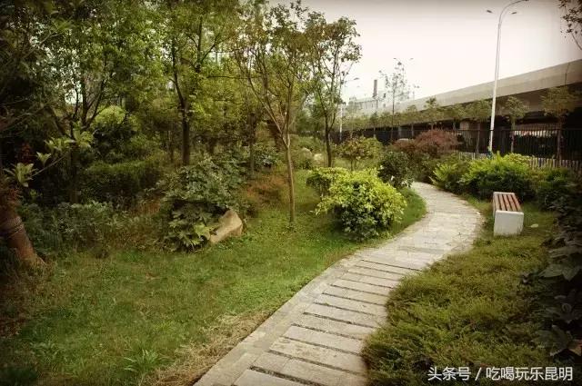 昆八中介绍,再见八中