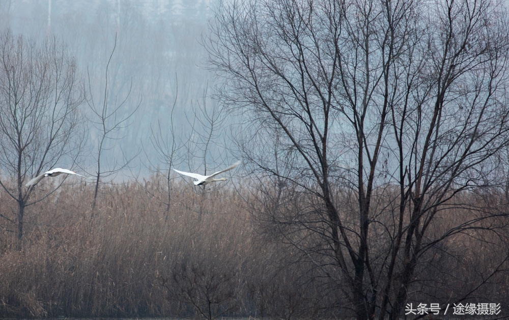 经过湖北最绕的高铁路线，直线900公里绕出了1800公里长度