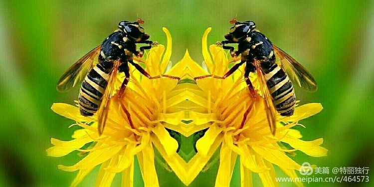 走过四季夏天最美,走过春夏美丽的秋冬