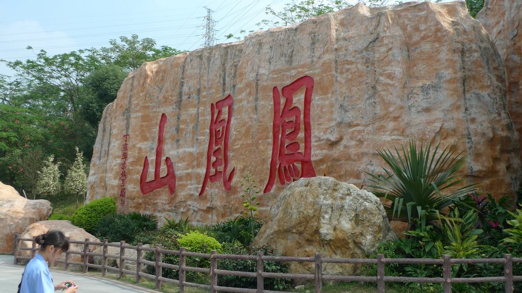 深圳都有哪些好玩的地方推荐一下,深圳有哪些好玩的地方值得去