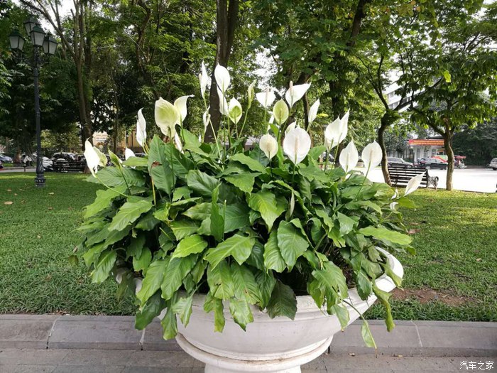 在最好的年代遇到最好的你,在最好的时代遇见了你