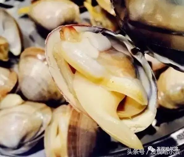 深夜探店哈尔滨老道外的街边美食,哈尔滨吃的美食推荐老道外