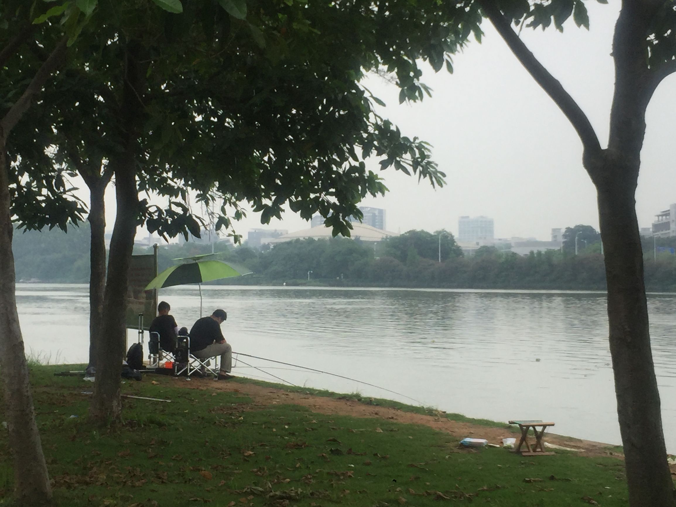 广州国际生物岛螺旋三路10号,广州生物岛适合旅游吗