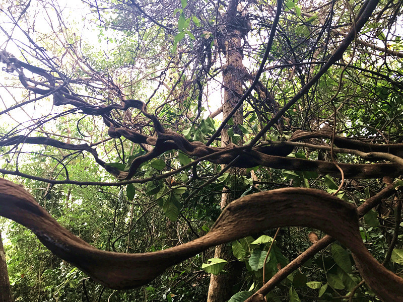 三亚自由行含机票豪华游艇体验,三亚自由行旅游必备