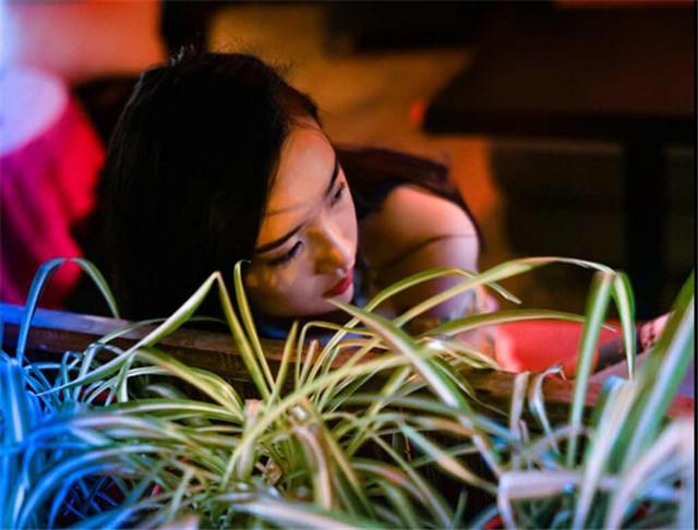 2018年财运生肖排名,2018年十二生肖运势完整版