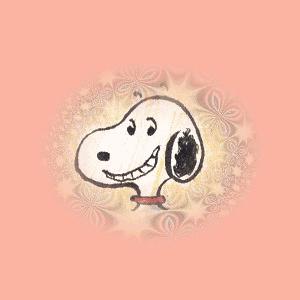 史努比是什么样的狗狗,长得像史努比的小型犬