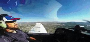 功夫猫搞笑动态图片,搞笑蓝猫gif动图