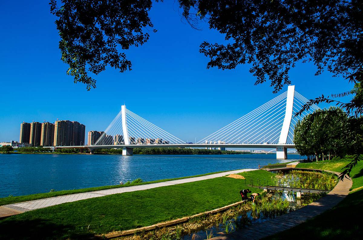 沈阳的海边浑河,远看是海近看是湖