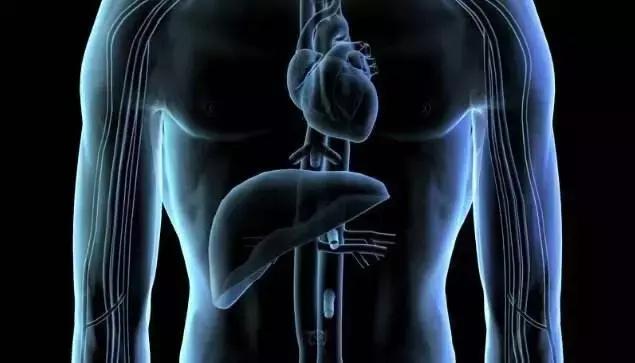 老人胃口差没食欲怎么调理,解决老人食欲差的方法