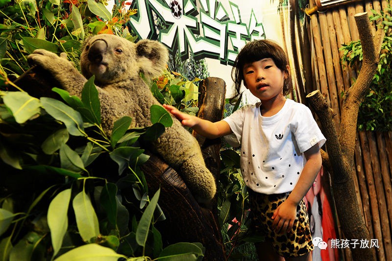 广州长隆野生动物园游玩攻略,广州长隆野生动物园攻略自由行