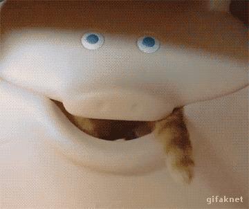 那些柔弱无骨的液体猫，其实猫咪才是水做的吧，最后一个绝了