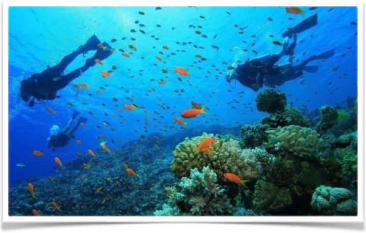 希腊爱琴海的活动,希腊冬季爱琴海