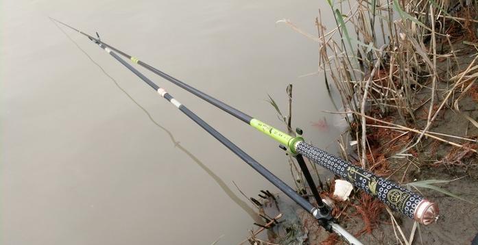 有毛不算秃含义,有毛不算秃怎么回复