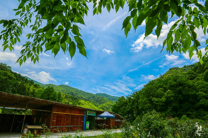 哪儿有原始森林拍照的景区,冬天适合拍照的原始森林