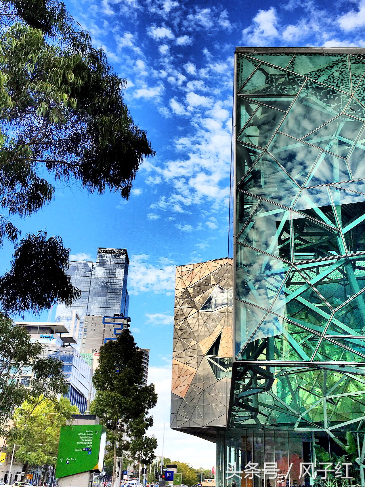 CityTour丨弃车暴走墨尔本,看看人家的街头文化