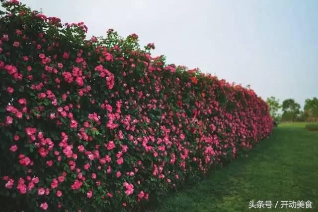 上海迪士尼小镇好吃的好玩的,上海迪士尼度假区周边美食