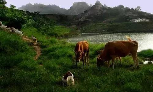 河南有山有水游玩推荐景点,河南有山有水的三天旅游景点推荐