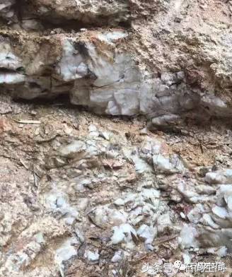 镜面碳晶板家装效果,白水晶简装效果图