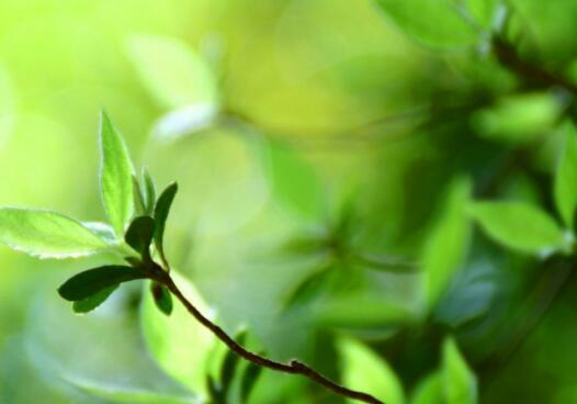 搞定领导的黄金七步法,应对领导话术