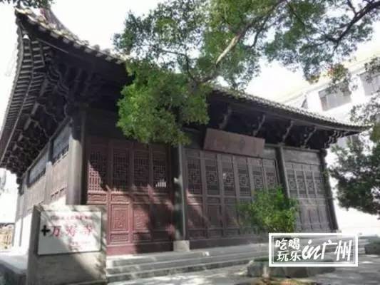 广州最新最美最好玩的景点,广州最值得去玩的景点推荐一下