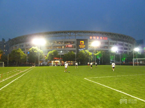 上海足球场人造草坪推荐,上海哪里有足球场草坪