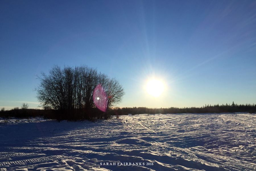 为了这束光，我们一路向北追逐而至...