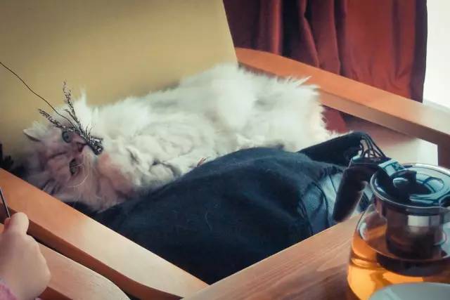 郑州藏在写字楼的咖啡厅,郑州外贸最集中的写字楼