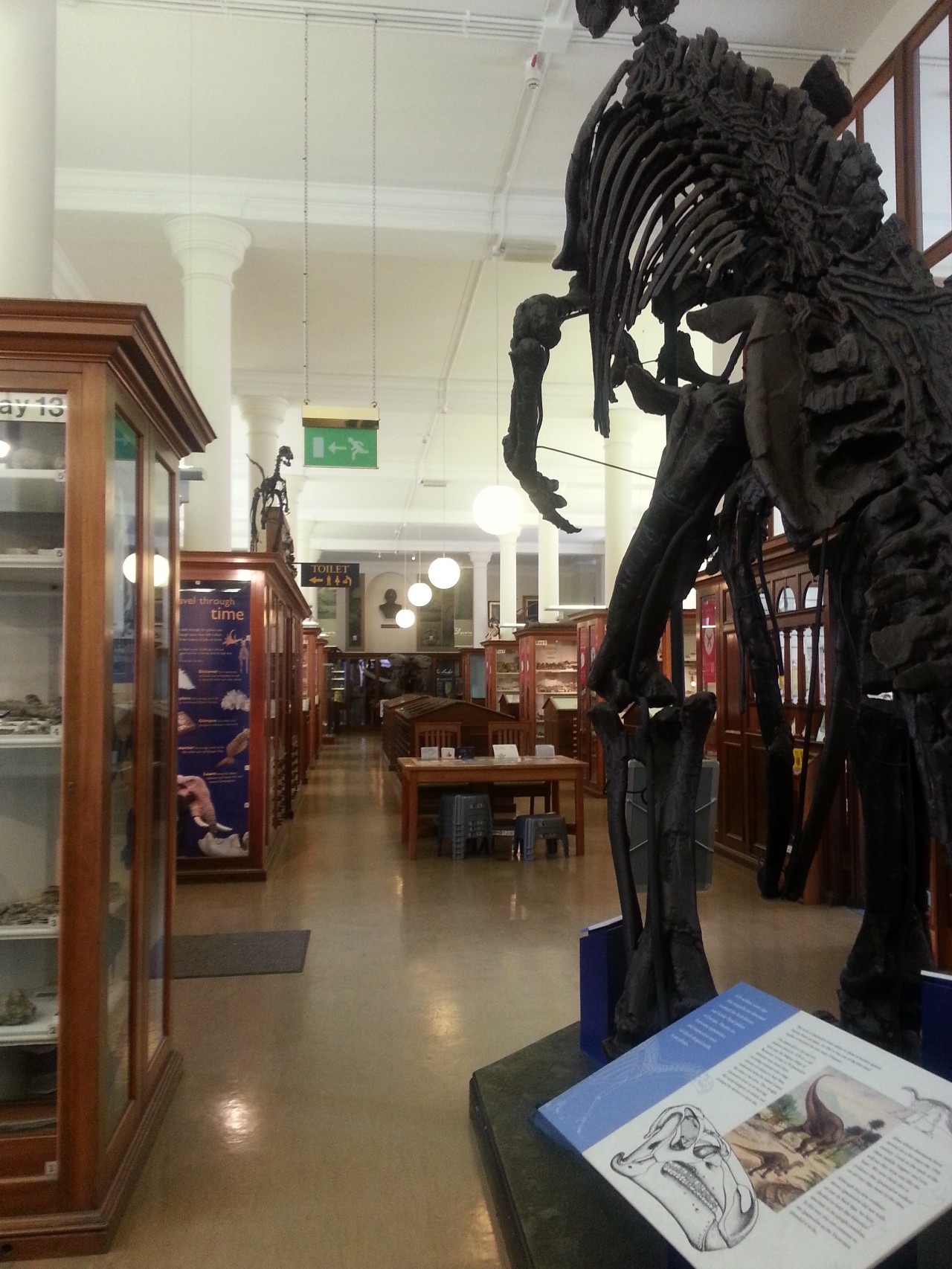 塞奇威克地球科学博物馆,塞奇威克