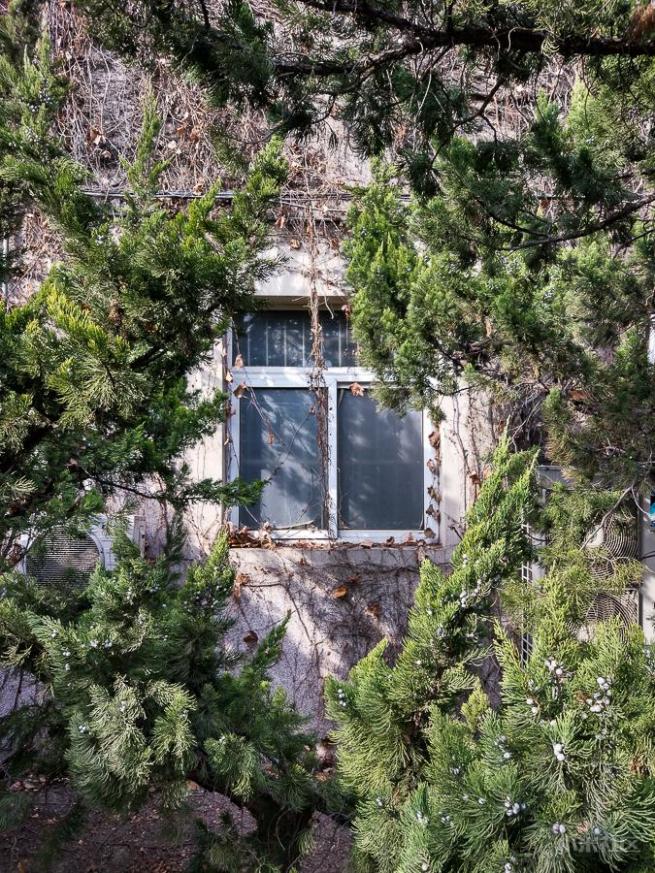 小米5拍照效果,小米5有拍照吗