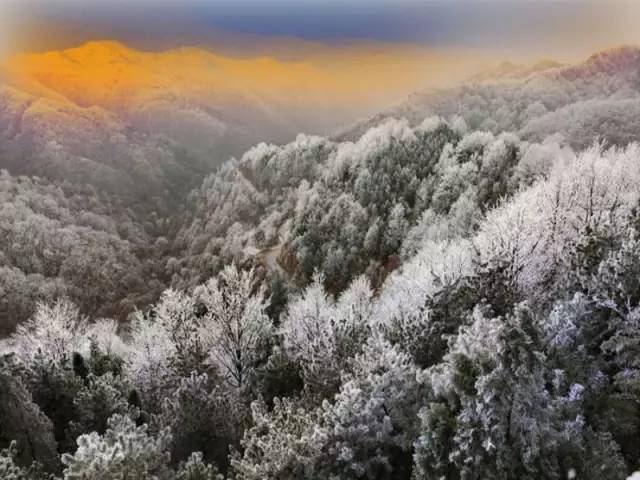 郑州春节滑雪好玩的地方排行榜,郑州桃花峪滑雪场门票