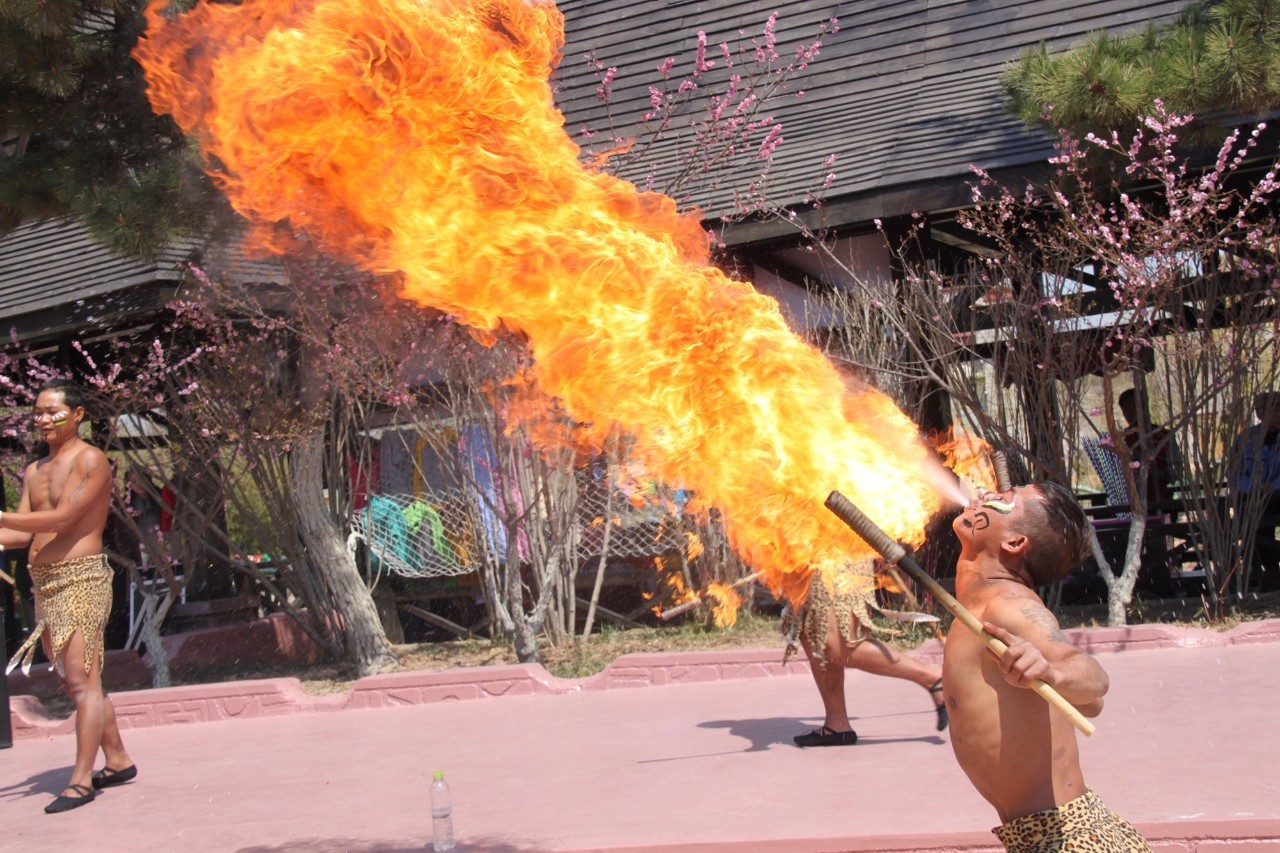 自贡方特半价门票几点开始抢,芜湖方特门票价格半价