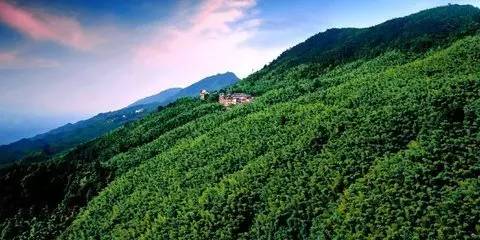 再上4天班就放假了吗,重庆放假最新通知