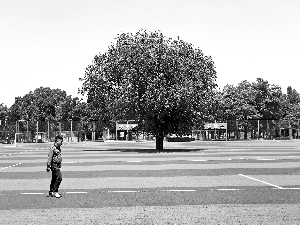 大树变网红,大树打边路